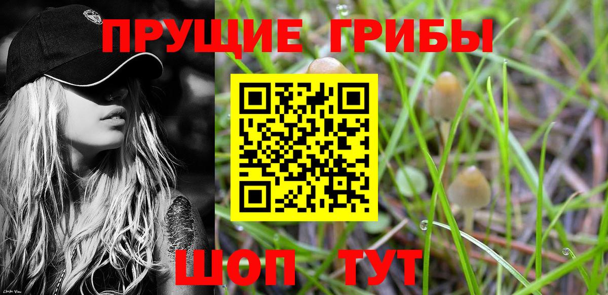 Кыштым  Псилоцибиновые грибы Cubensis  Вход с VPN 